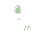 SurfIt. Escuela de Surf